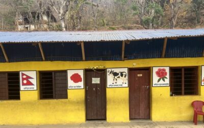 हाम्रो देश